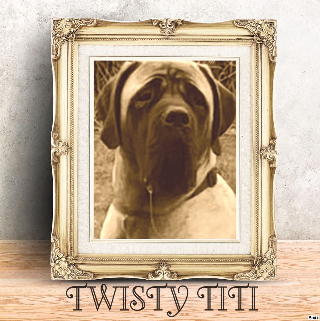 Twisty - titi des Mastiffs d'Enfer