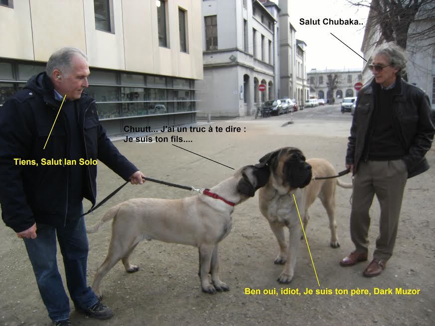 des Mastiffs d'Enfer - RENCONTRE DU PERE ET DU FILS