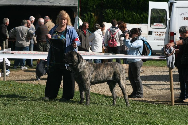 des Mastiffs d'Enfer - DECES DE FBI VODKA