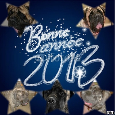 des Mastiffs d'Enfer - BONNE ANNEE 2013