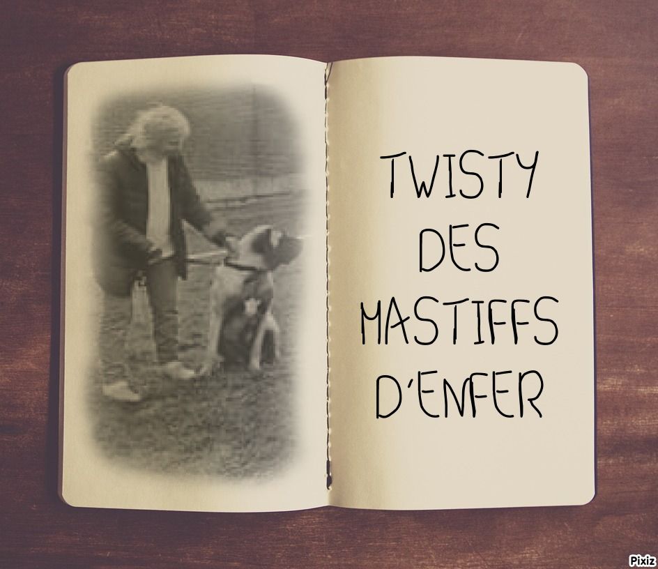 Twisty - titi des Mastiffs d'Enfer