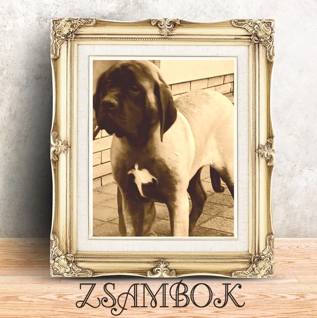 Zsambok denfer korosdombi