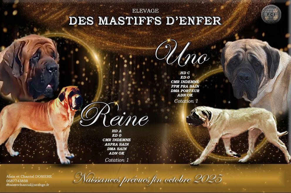 MARIAGE 2025 UNO ET REINE